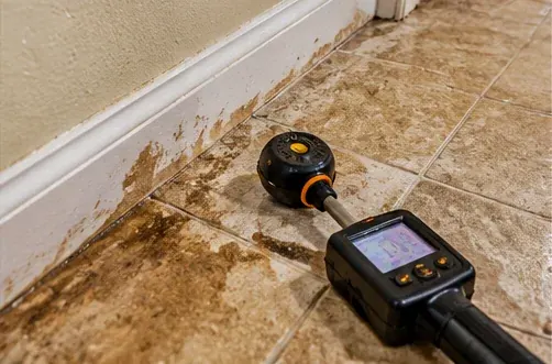 Moisture and staining along flooring and baseboards affected by a concealed under-slab leak